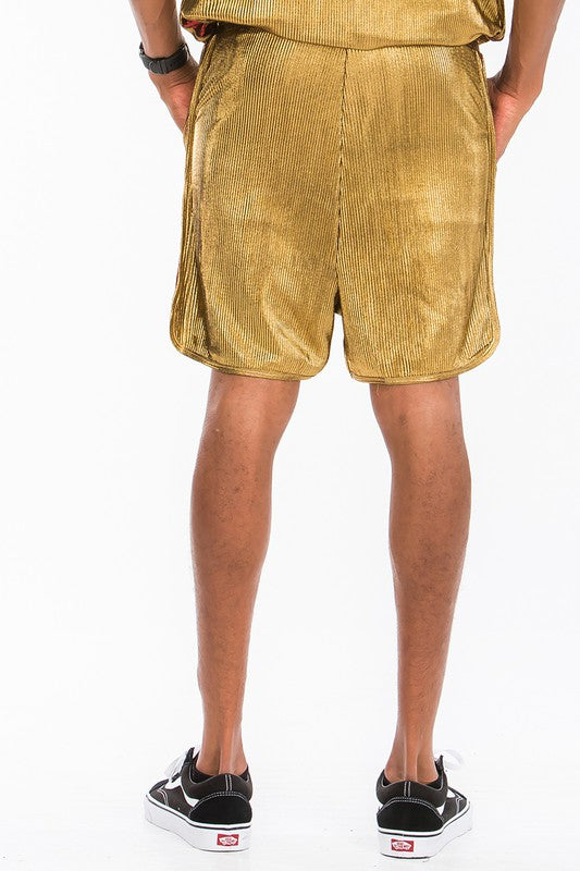 Stacey B's Metallic Flick Shorts