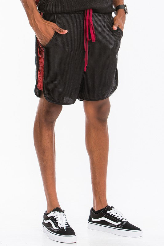 Stacey B's Metallic Flick Shorts