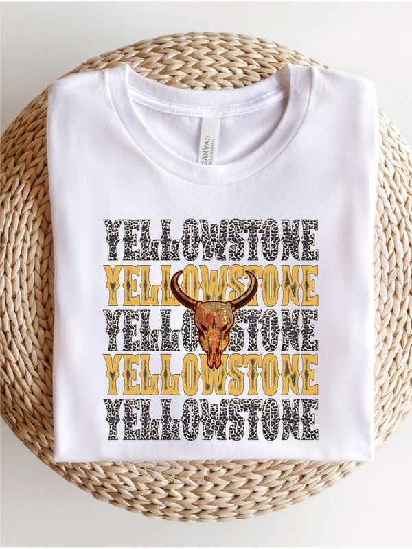 Stacey B's Yellowstone Stacked Leopard Boutique Style Tee