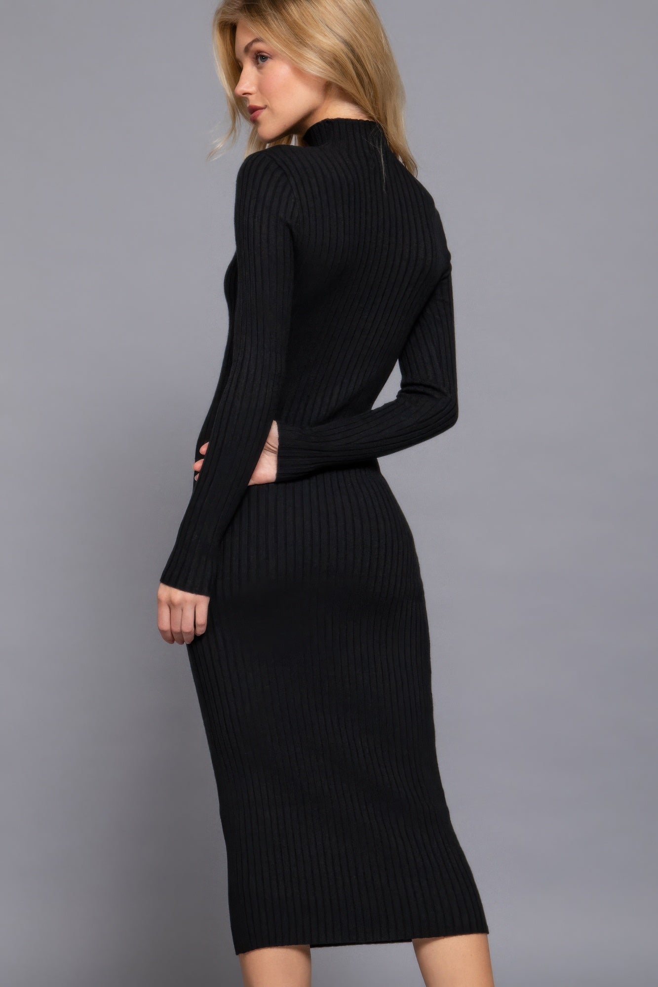 Stacey B's Long Sleeve High Neck Sweater Long Dress