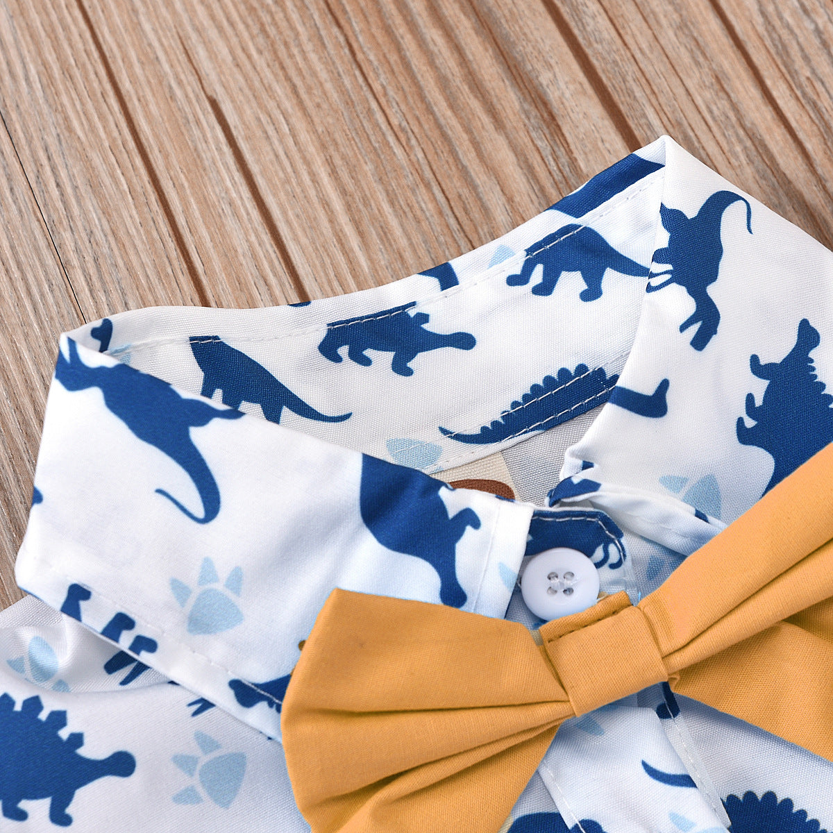 Stacey B's Dinosaur Boy Outfit Set for infant