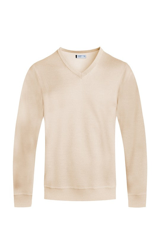 Stacey B's Solid V-Neck Sweater