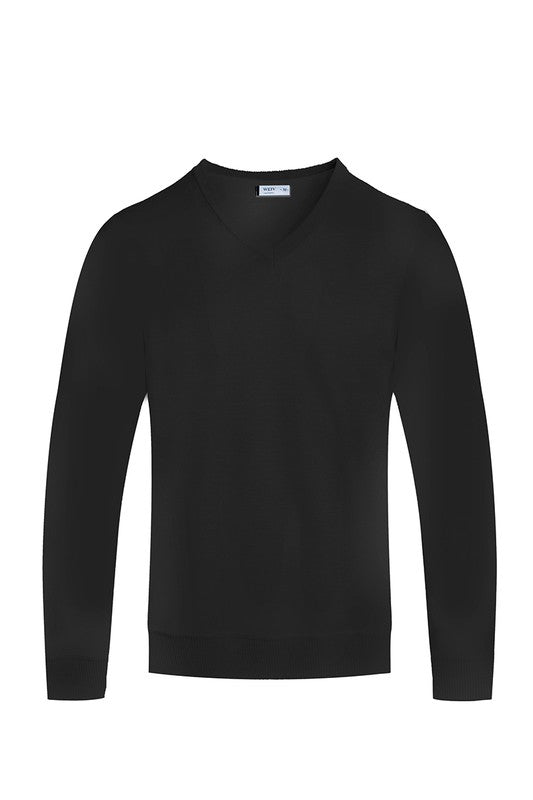 Stacey B's Solid V-Neck Sweater