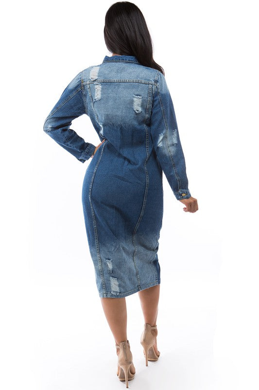 Stacey B's Denim Jacket Dress