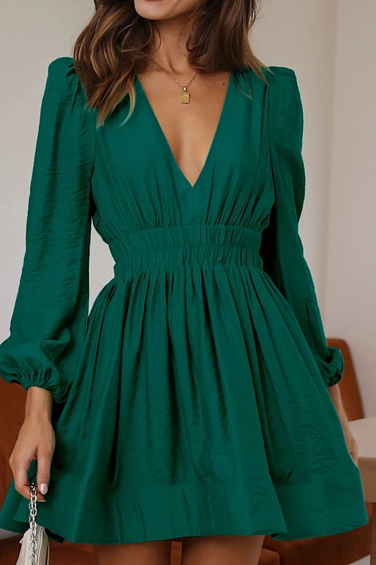 Stacey B's V neck long sleeve dress