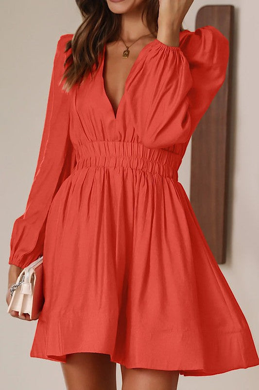 Stacey B's V neck long sleeve dress