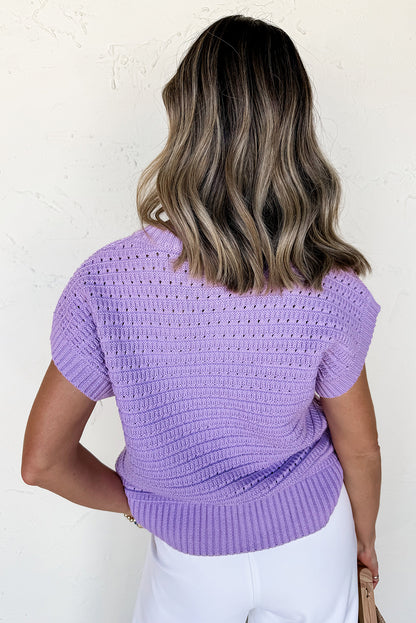 Stacey B's Lavendula Pointelle knit Ribbed Trim Short Sleeve Sweater