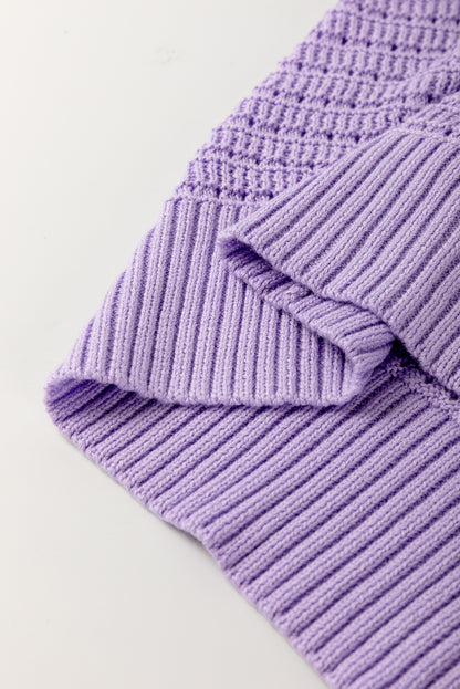 Stacey B's Lavendula Pointelle knit Ribbed Trim Short Sleeve Sweater