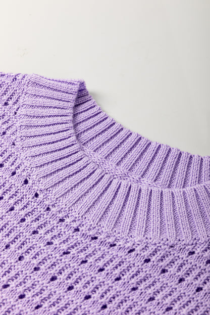 Stacey B's Lavendula Pointelle knit Ribbed Trim Short Sleeve Sweater