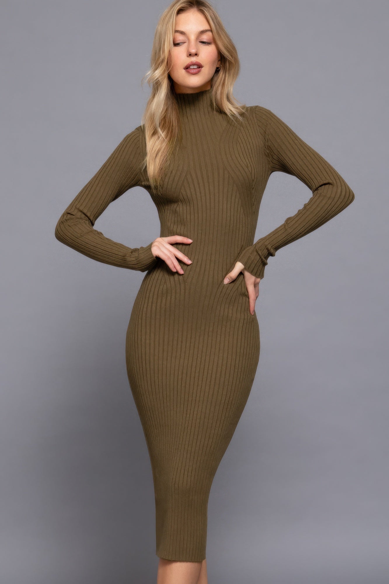 Stacey B's Long Sleeve High Neck Sweater Long Dress