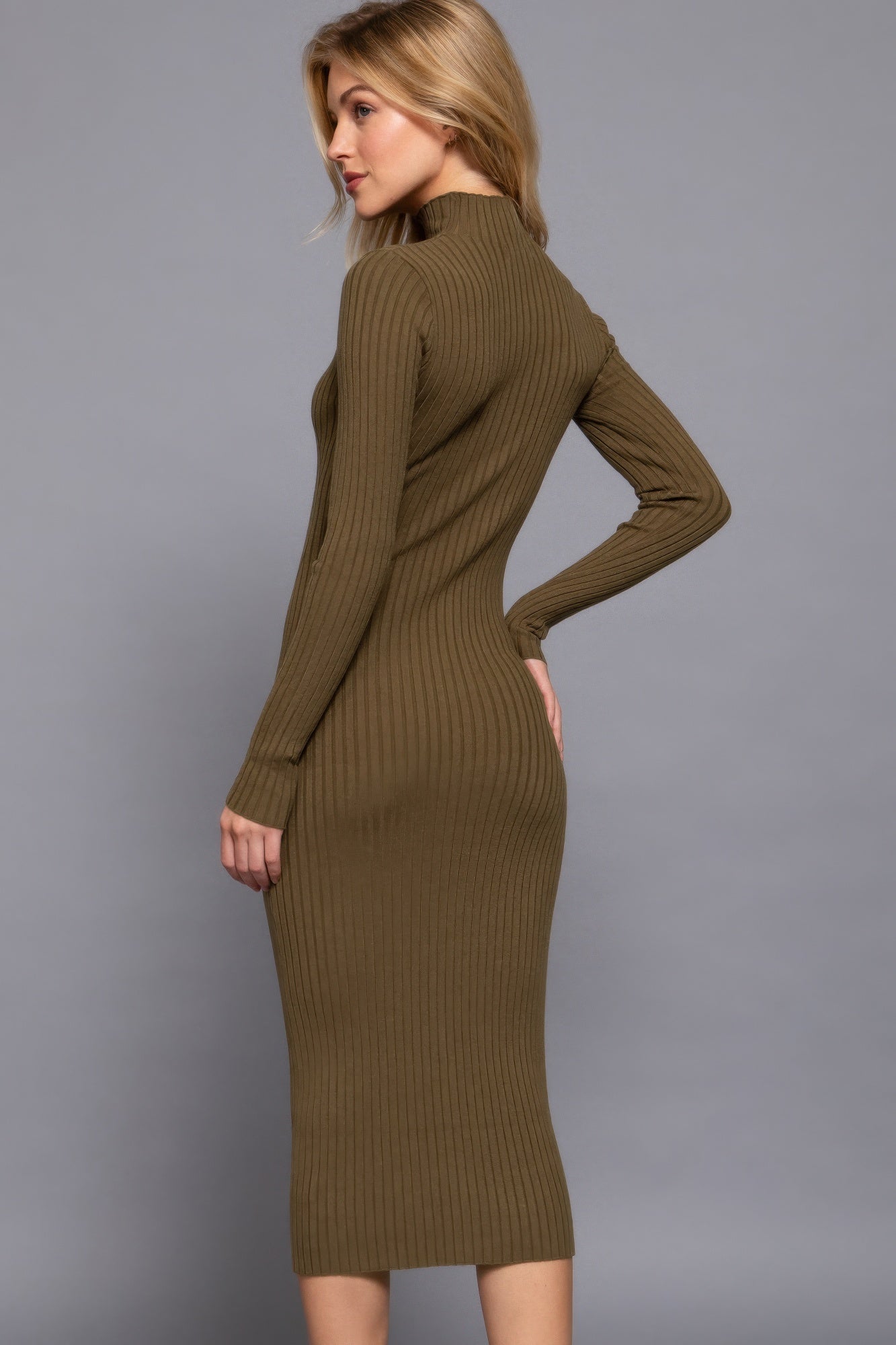 Stacey B's Long Sleeve High Neck Sweater Long Dress