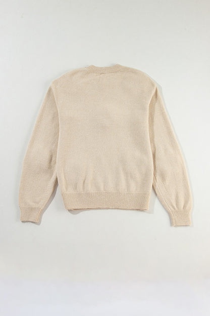 Stacey B's Crochet Flower Round Neck Long Sleeve Sweater