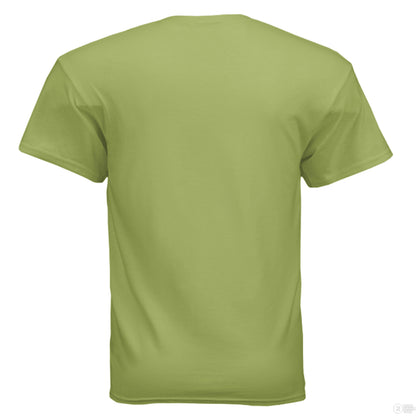 KIWI_b