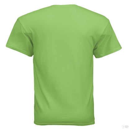 LIME_b