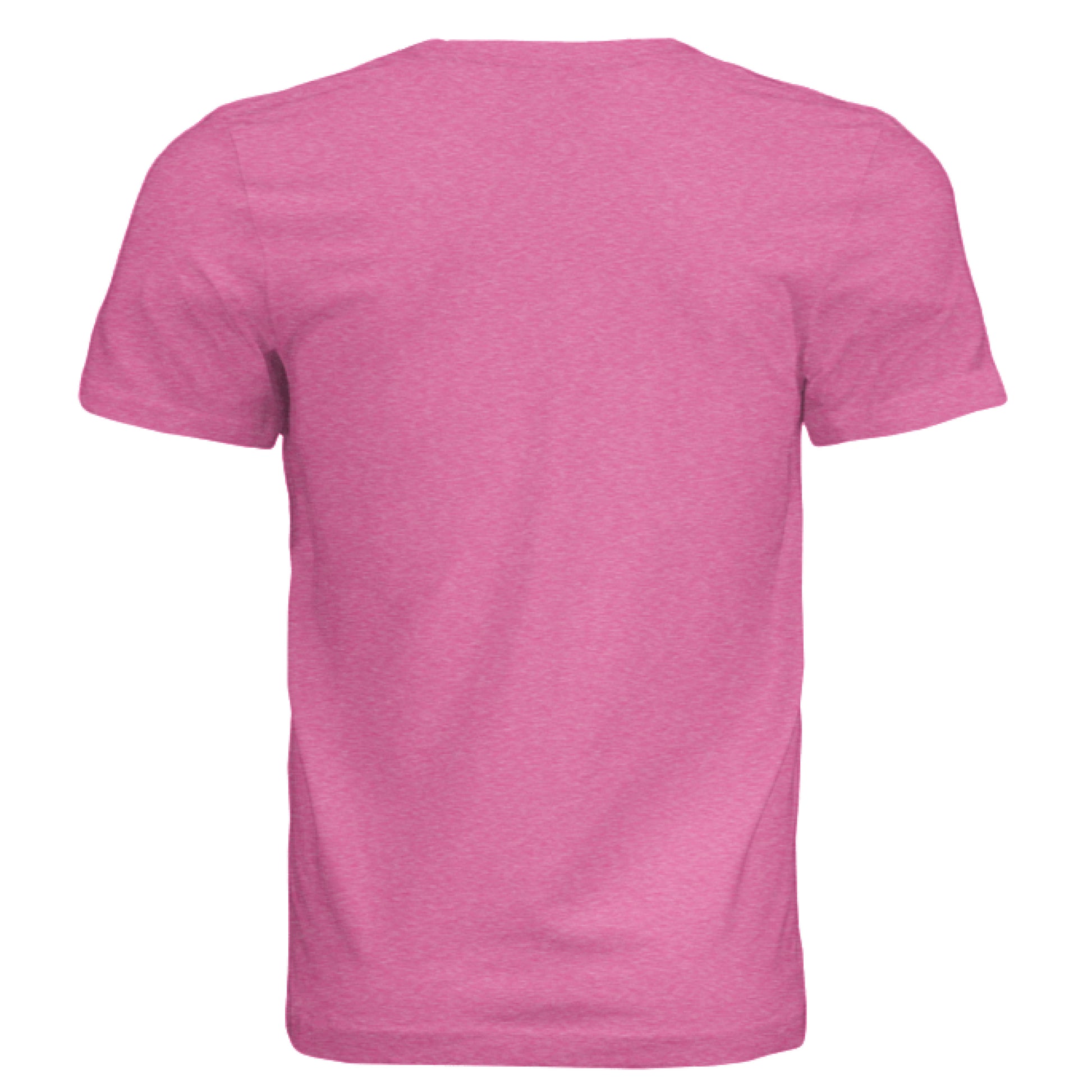 Charity Pink Triblend - BACK